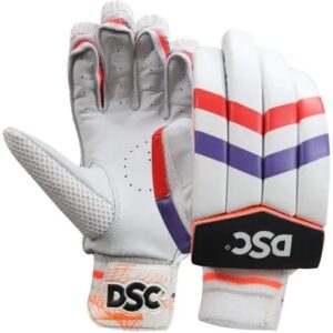 DSC Intense Attitude Cricket Batting Gloves