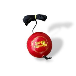 Super Trainer Leather Hanging Training Cricket Ball ( For Practice & Bat Knocking )
