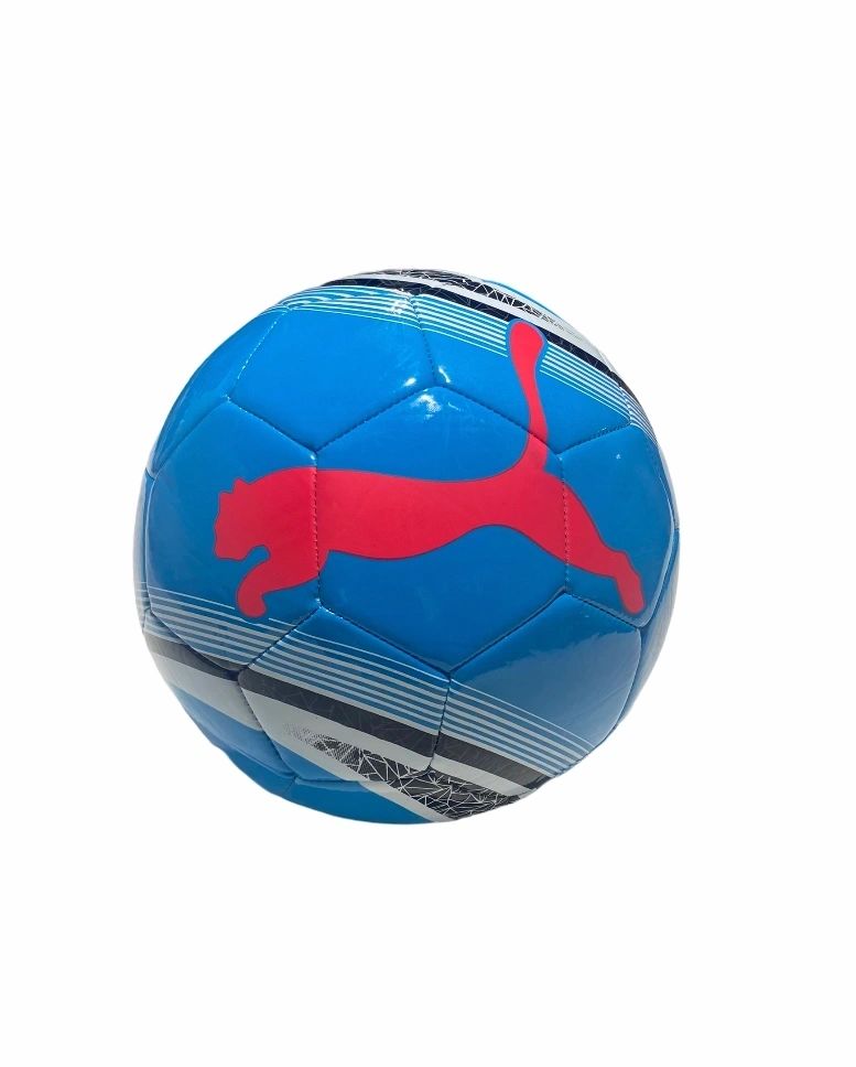 Sac Foot en salle Team Cat (Large) Puma - FutsalStore