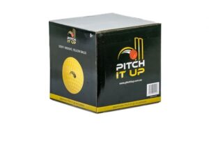 PITCH IT UP Cricket Ball Set  (20 balls)