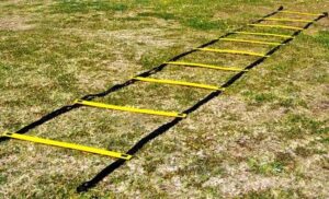 Elite Heavy Duty 4m Agility Ladder - Image 2
