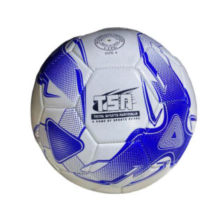 Classic School Trainer Soccer Ball