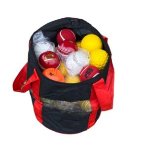 Cricket Ball Bags