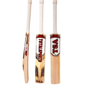 TSA Fusion Kashmir Willow Cricket Bat