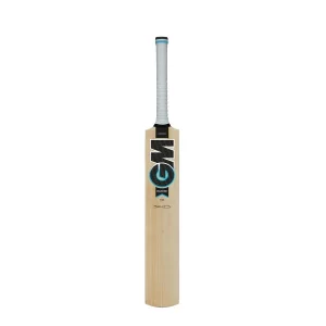 GM Junior Diamond 101 Kashmir Willow Cricket Bat - Image 4
