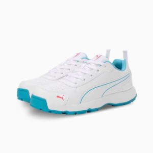 Puma ClassiCat Rubber Cricket Shoes