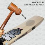 GM Icon 404 Junior Englsih Willow Cricket Bat - Image 3