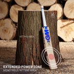 GM Sparq 303 English Willow Cricket Bat
