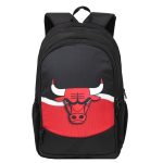Elite BULL Backpack bag with Laptop Compartment