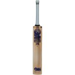 GM Brava DXM Signature TTNOW English Willow Cricket Bat