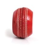 TSA Aggot Seam Training Cricket Ball