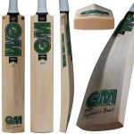 GM Verva DXM 808 TTNOW Junior English Willow Cricket Bat