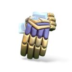 Adidas XT LE Colour Cricket Batting Gloves - Purple/Gold