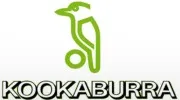 Kookaburra